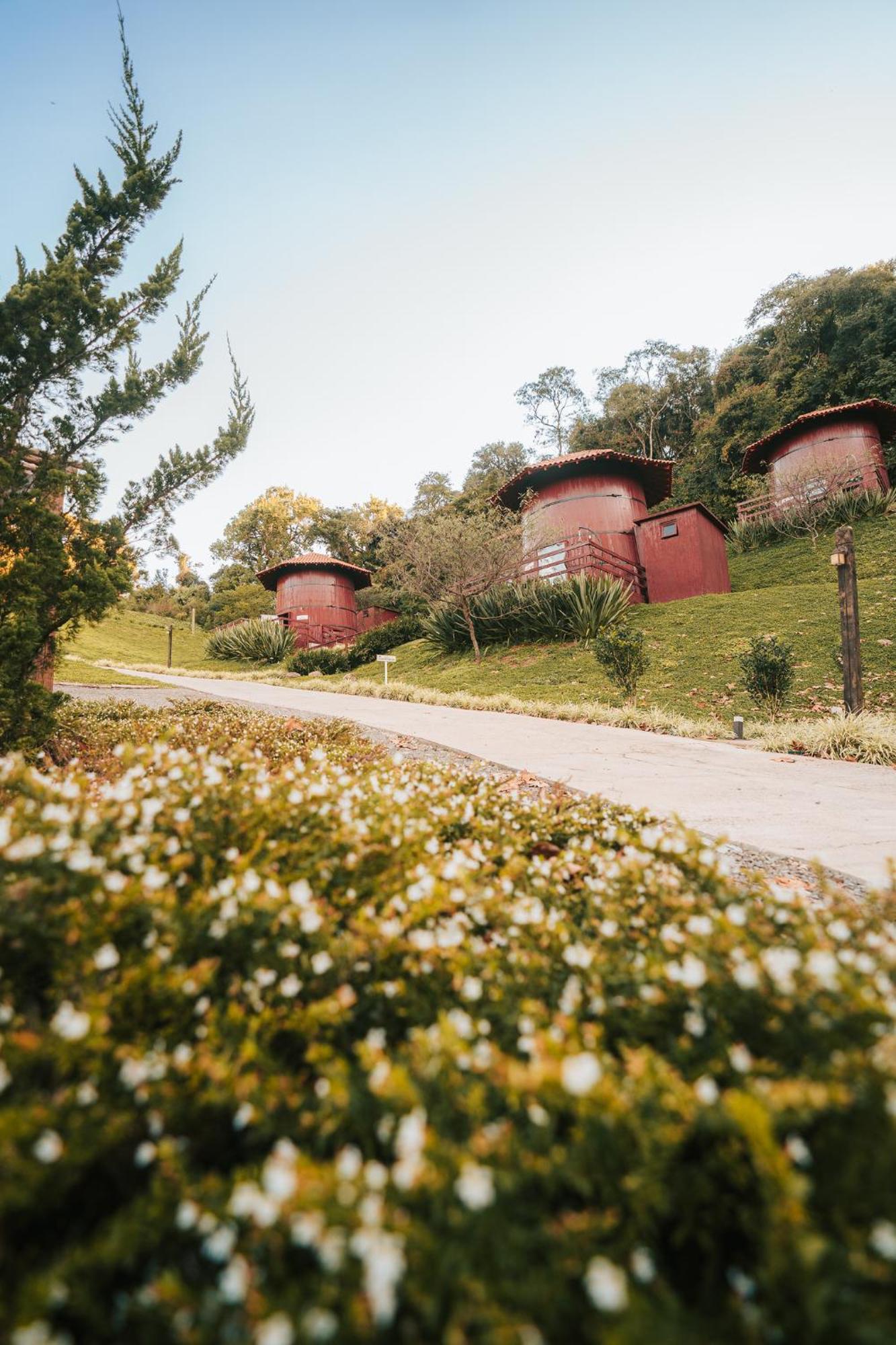 Pipas Do Vale - Vale Dos Vinhedos Hotell Bento Gonçalves Exteriör bild